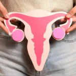 Woman holding a papercut reproductive system front view