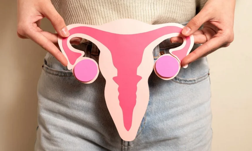 Woman holding a papercut reproductive system front view