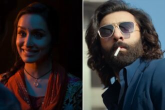 (L) Shraddha Kapoor from Stree 2, (R) Ranbir Kapoor from Animal